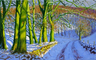 Green Trees, Winter; Dam Lane; Derbyshire by Andrew Macara